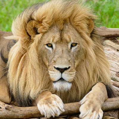 m7u78fJSBE1FaQ5's profile picture. 