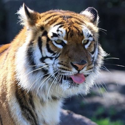 dionlyexception's profile picture. pushing hidup