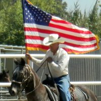 William Hugill (@williamhugill2) 's Twitter Profile