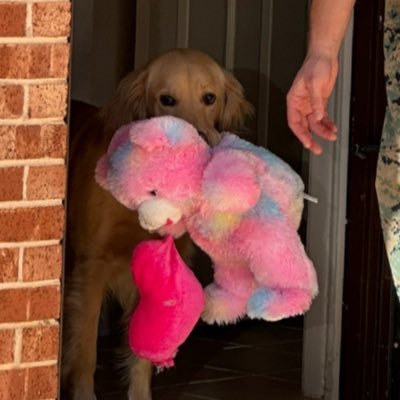 astamez's profile picture. 