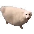 /さんのプロフィール画像