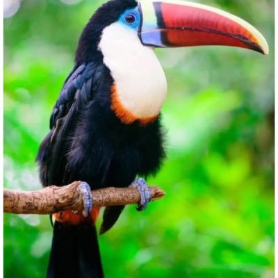 fjjs28332317's profile picture. love