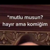 Humorst (@humorst0) 's Twitter Profile