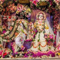 Ashutosh Chourey (@ashutoshchourey) 's Twitter Profile