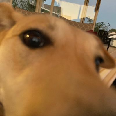 Epicさんのプロフィール画像