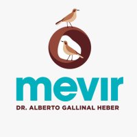 MEVIR (@meviroficial) 's Twitter Profile