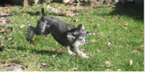 fiyah32's profile picture. 