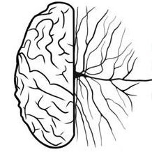 Dartmouth Psychological and Brain Sciences