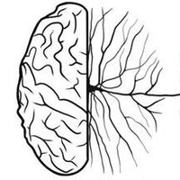 Dartmouth Psychological and Brain Sciences (@dartmouthpbs) 's Twitter Profile