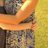 gabbym21's profile image