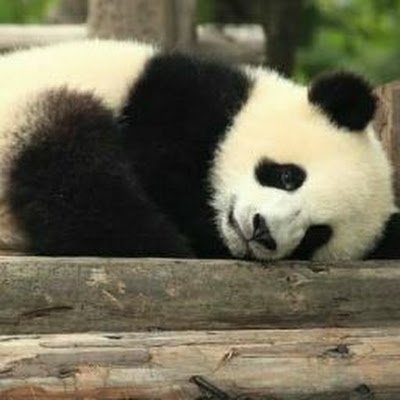 Vishva39's profile picture. Vishva world