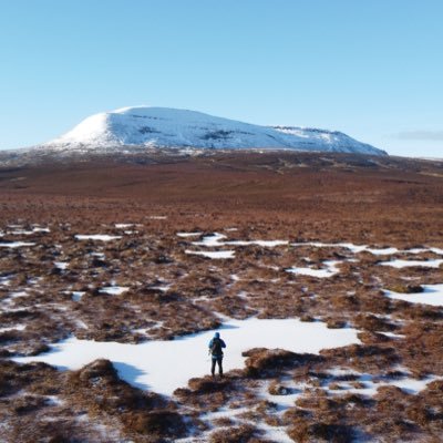 Head of Peatland Recovery with @UlsterWildlife Bogs, Birds, Moths and Landscapes!