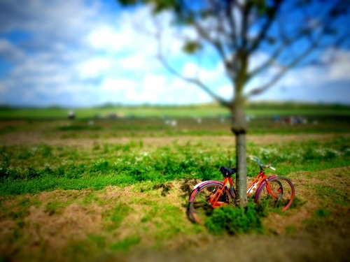 part time Cyclist, full time Developer