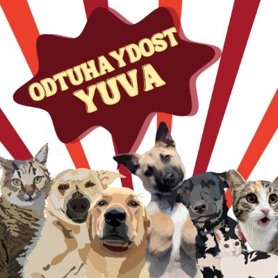 odtuhaydostyuva's profile picture. 🐶@odtuhaydost resmi yuva ilanı sayfasıdır🐱 İlanlara dönüş yapmak için dm’den yazabilirsiniz 🐾🐾

Instagram: @odtuhaydostyuva