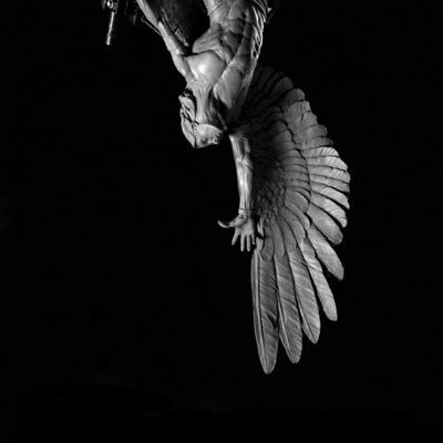 psychostable's profile picture. session minimalist