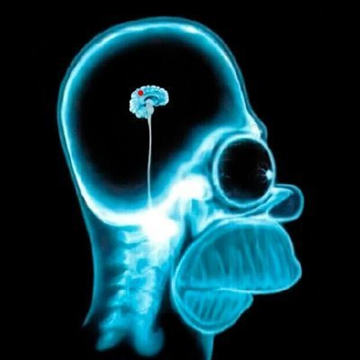Homônimo de mim mesmo.
Questiono, elaboro ideias, analiso fatos e valorizo o respeito às divergências, sempre guiado pela busca da verdade