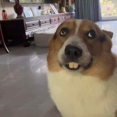 phuc98835078's profile picture. 