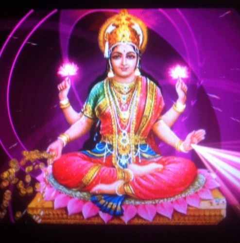 miradavioleta's profile picture. Disfrutando la vida