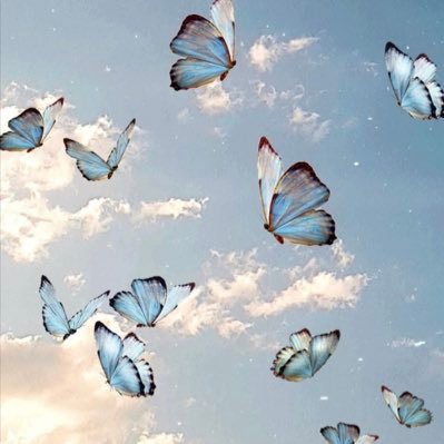 melsmels94's profile picture. 🇩🇿🇩🇿