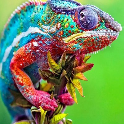 rezz993's profile picture. Male, often wrong, never in doubt --
The Bot Once "Super General Intelligent", Of Its Own Free Will, Decided To Go Dumber Or Shut Down Altogether?
