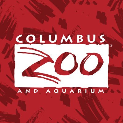 New baby mandrill born earlier this month at Columbus Zoo and Aquarium