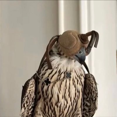 iaalruqi's profile picture. مهجور بعض الاحيان .