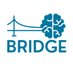 BRIDGE Lab (@muscbridgelab) Twitter profile photo