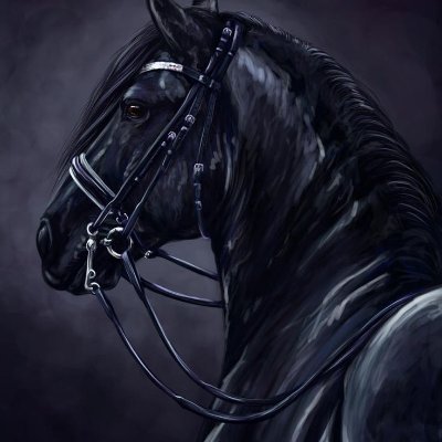 cryptonium333's profile picture. 