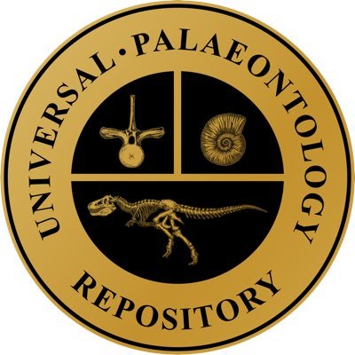 A non-profit organisation making palaeontological scans available to researchers