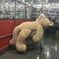 (DOTOR) DON SEÑOR ME DECÍAN (@tavogada0722) 's Twitter Profile