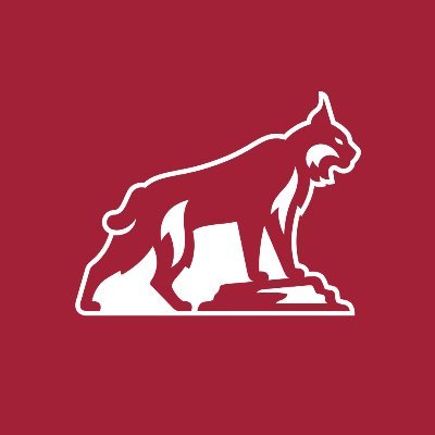 ChicoState Profile Picture