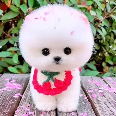 King_money017's profile picture. 