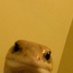 Karson (@lordtaco854321) Twitter profile photo Karson (@lordtaco854321) Twitter profile photo