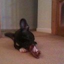 Gavin Cutler - @gavcutler - Twitter