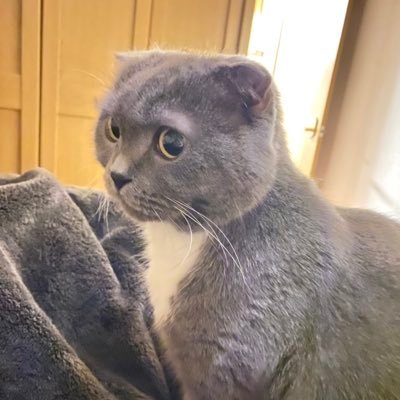 peekabo61972974's profile picture. 転勤族卒業後、夫単身赴任にフルタイムワーママになるから常にギリギリな娘育児中。ワンオペ続行中。娘は気が強く人が大好きなタイプ👧 私はむしろ人見知りタイプ👩 不安なことも多い毎日。無言フォロー&いいね失礼します。タメ口OK。