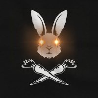 Bunnies of TikTok 🔻🏴☭ (@ancombunny) 's Twitter Profile