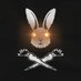 Bunnies Against Genocide 🇵🇸 (@thetheoryofmeh) Twitter profile photo