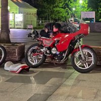 るい (@r3_shawk) 's Twitter Profile