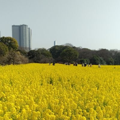 tckw76→東北理球C4/TKQC元部長/TQR(予定)/都市研と地ゼミ入りたい/名古屋しか勝たん❗︎/縮小:@echigawa_nio/大学垢:@nionoumi_118