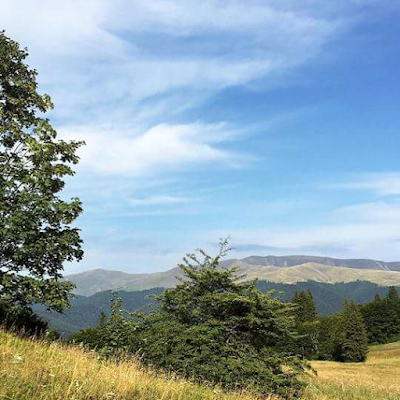 RashidKhabat's profile picture. 