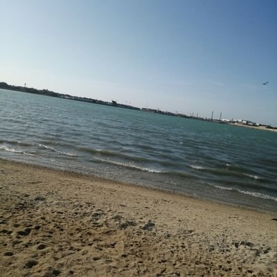 للإعلانات ودعم المتاجر والمنتجات وضمان مشاهدات عالية للتغريده وإنشاء خرائط جوجل أيضا وباقات متميزه وعروض لفتره محدوده ✌️
للاستفسار التواصل عبر الخاص 📥