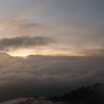 mochamad_erwin's profile picture. 