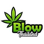 #1 Destination for Cannabis and THC Products in Pattaya