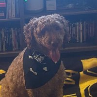Royale Locks (@royalelocks) 's Twitter Profile
