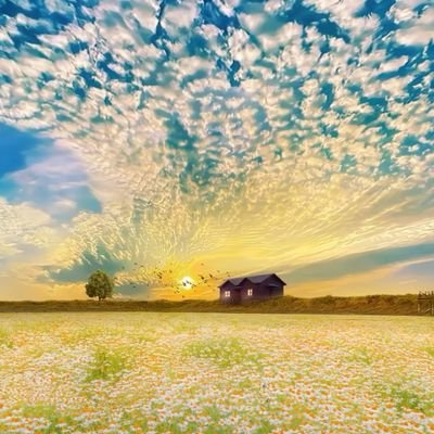 Hope12102022's profile picture. hih