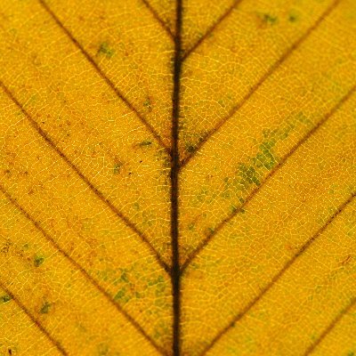 AITipsInfo's profile picture. Cuenta que informa sobre el mundo de la Inteligencia Artificial, #NLProc, y tips sobre como hacer una carrera en el área.