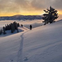 Craig Bosveld (@trees2skis) 's Twitter Profile