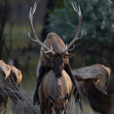 Steeler1388's profile picture. 