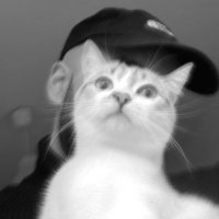 Oscar Parga (@xparga) 's Twitter Profile