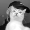 xparga's profile picture. 👾 Content Creator - https://t.co/3u6Ixng0fn - https://t.co/ufuCxtQTF0 | ✉️ : pargacontacto@gmail.com